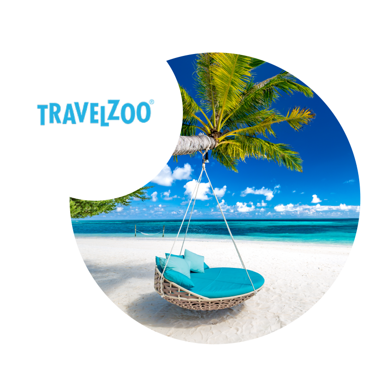 travelzoo customer success story